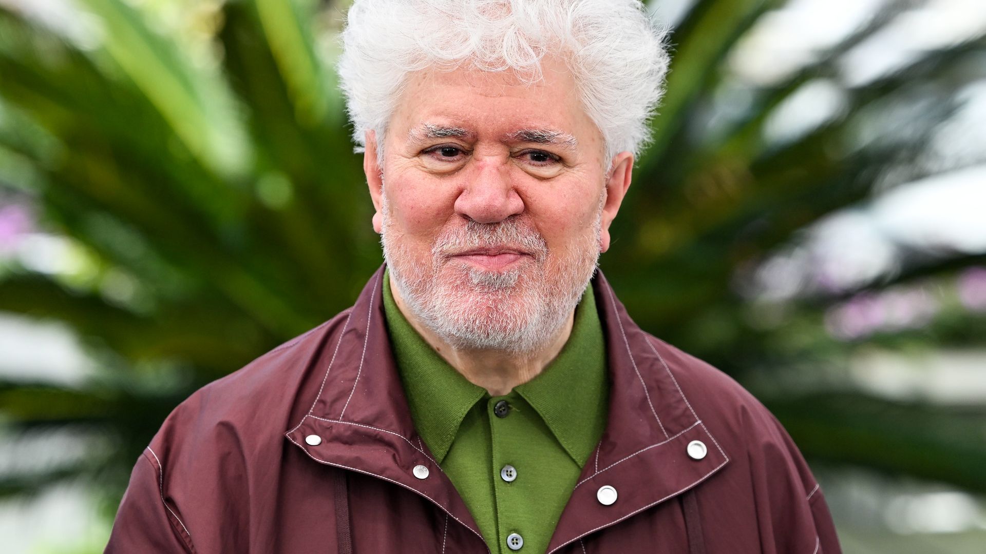 Almodóvar Almodóvar