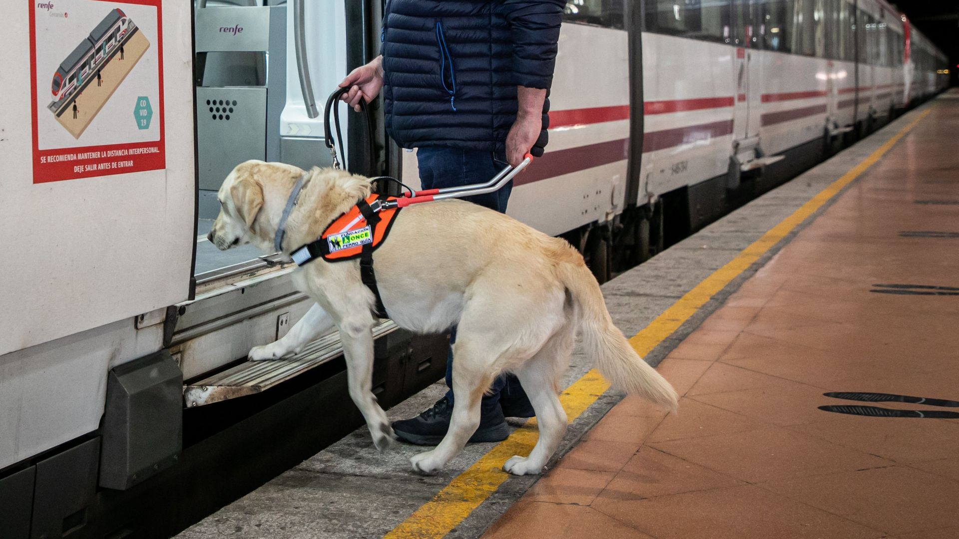 Plume, la perrita multada en una estación de Francia por no tener billete: la sorpresa de su dueño al recibir la sanción Plume, la perrita multada en una estación de Francia por no tener billete: la sorpresa de su dueño al recibir la sanción