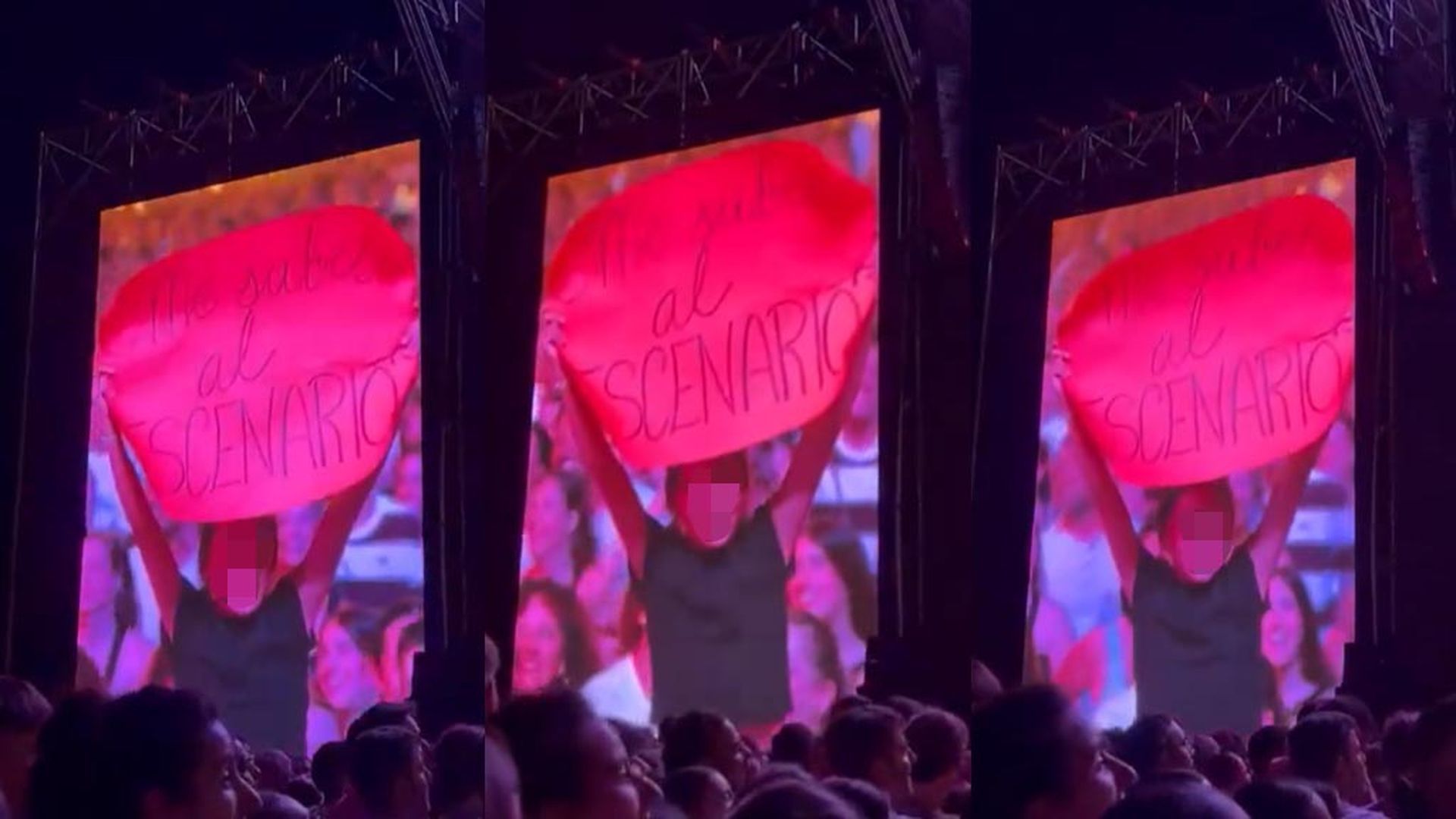 Una niña pide a Dani Martín en una pancarta que la suba al escenario durante un concierto