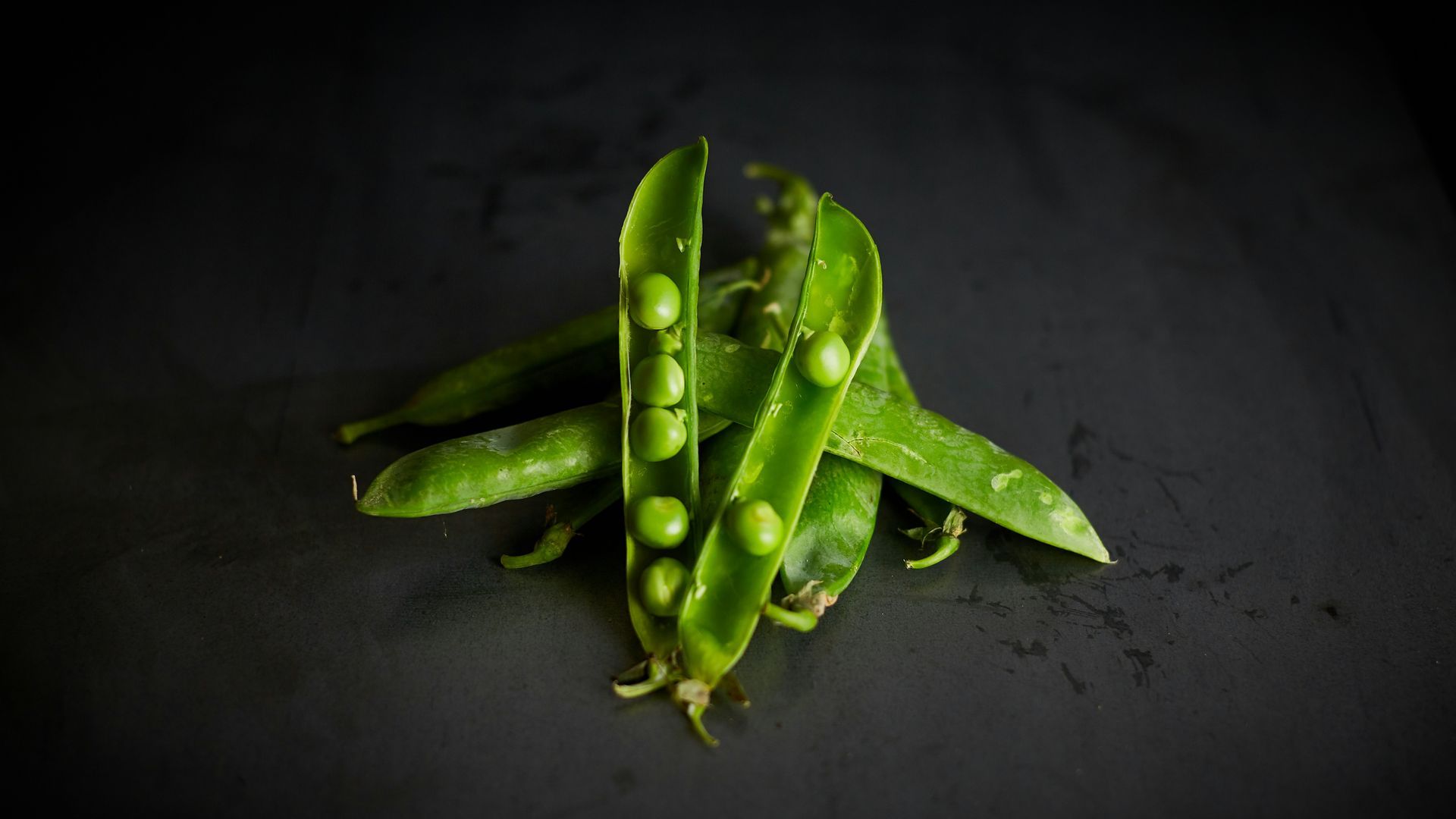 david-todd-mccarty-MurkDB_FK_k-unsplash