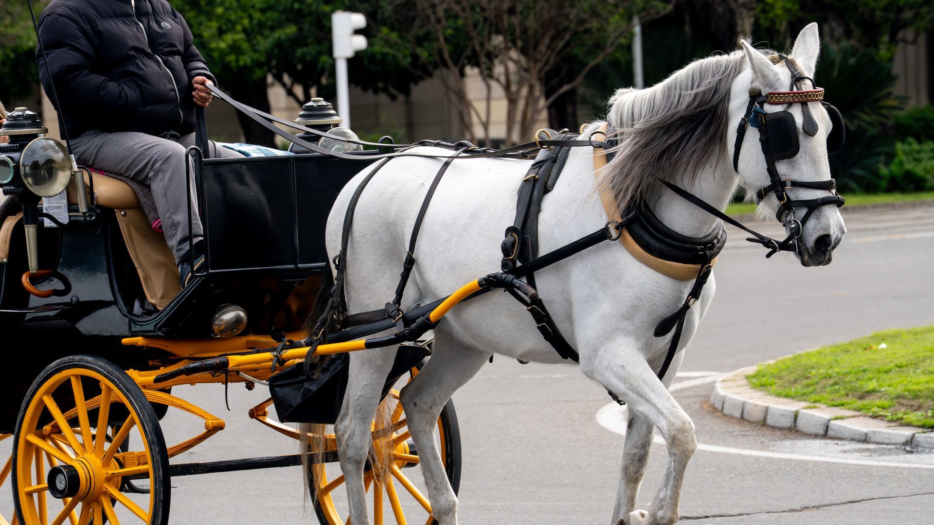 EuropaPress_7355197_coches_caballos_prado_san_sebastian_sevilla_10_marzo_2026_sevilla_espana