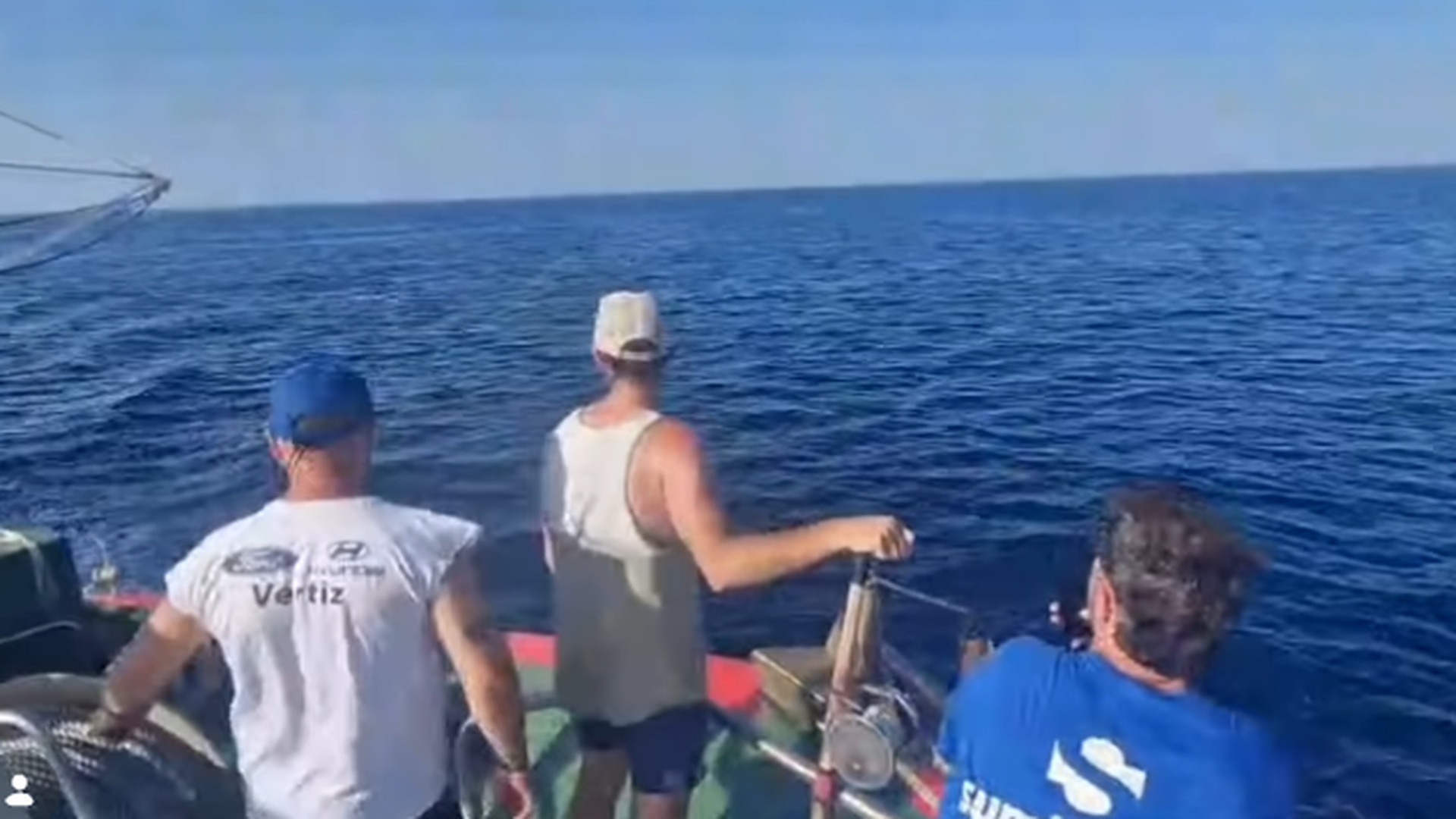 Los pescadores de la embarcación junto a la que nadaron, a una distancia prudencial, las orcas