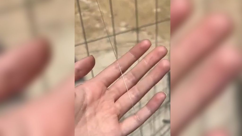Atan hilo de pescar tensado a la altura del cuello en una calle de Escacena, Huelva: "Pone en peligro vidas humanas”