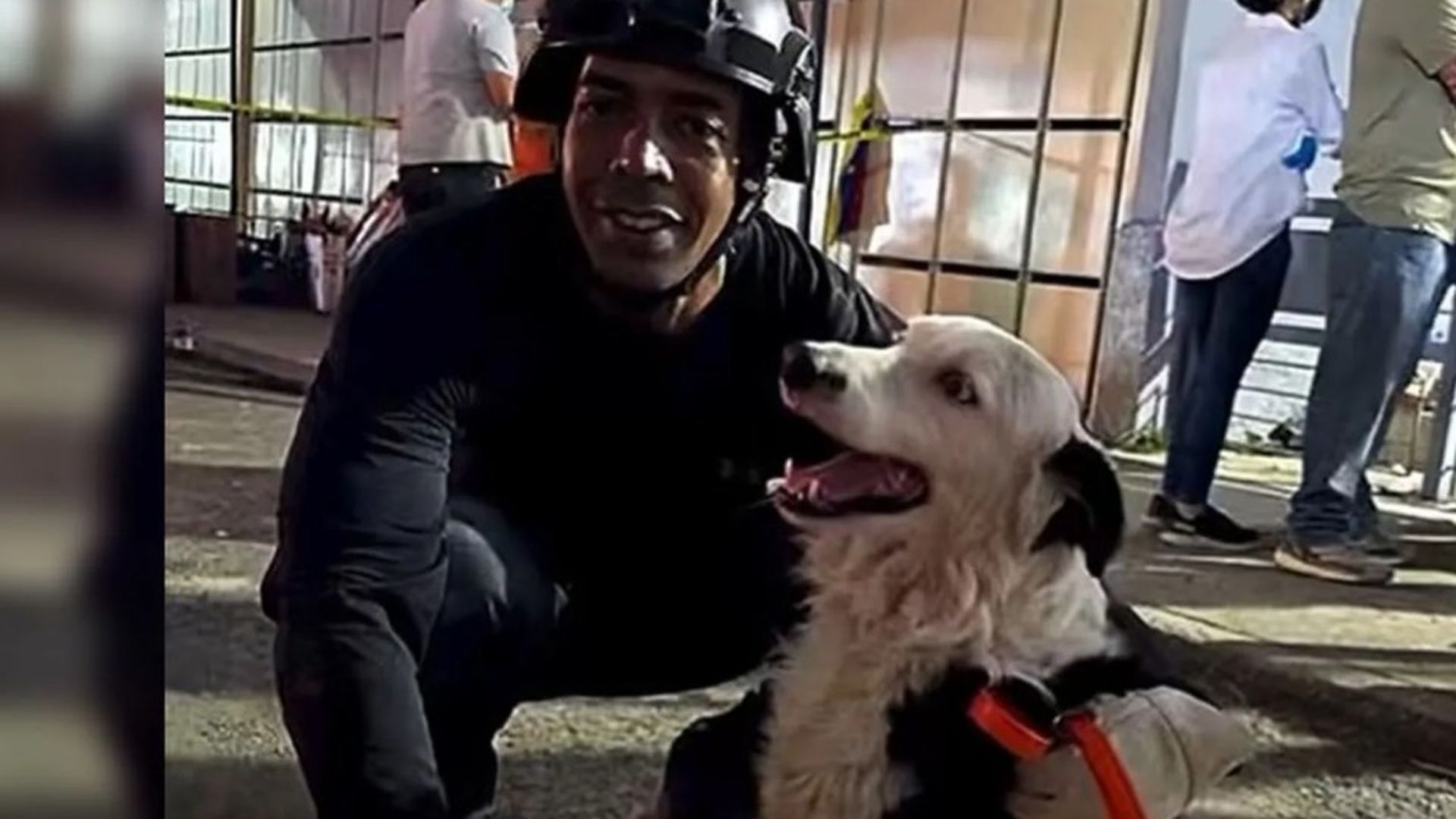 Tsuami, el rescatador de cuatro patas que asombra en Venezuela