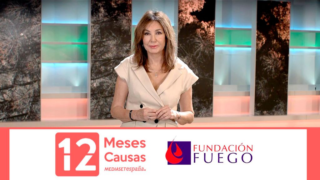 12 Meses 12 Causas prevención incendios