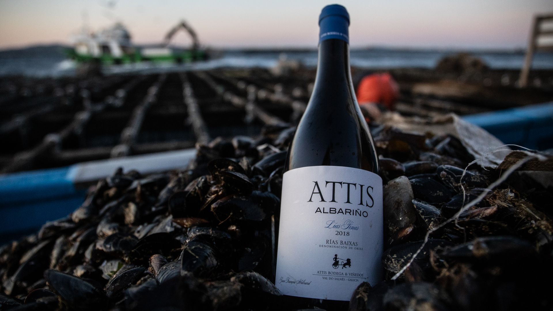 Bodegas ATTIS