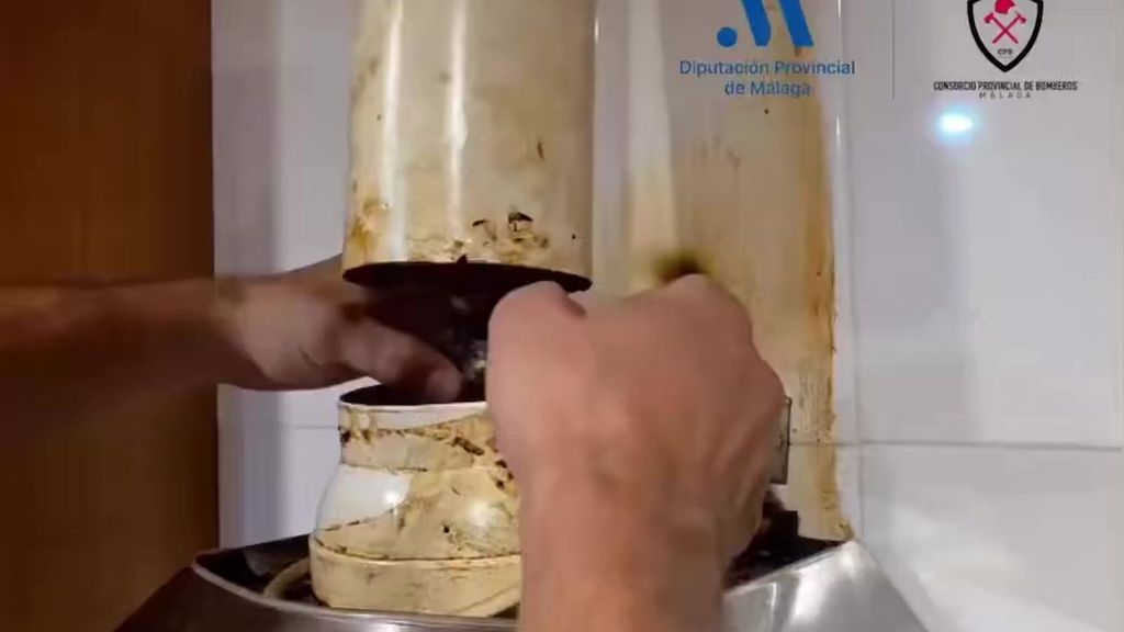 Rescatan tres crías de gorriones atrapadas dentro de la campana extractora de una casa en Estepona, Málaga