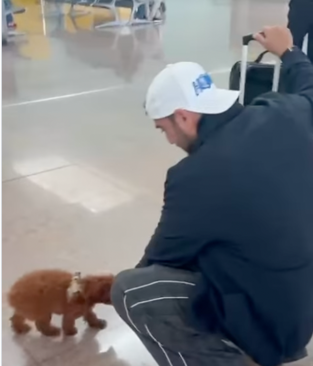 Lulu, junto a Antonio Orozco, en el aeropuerto