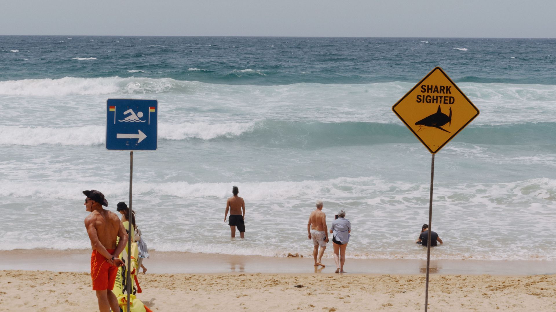 Doble ataque de tiburón en playas de Brasil: un niño de 11 años y una joven de 19 pierden la pierna mientras nadaban en el mar