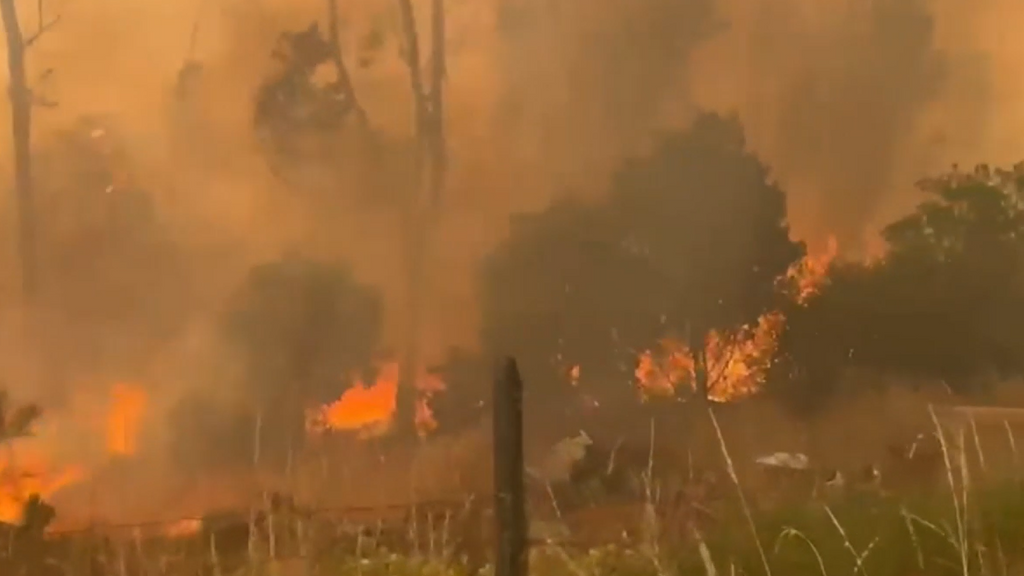 Más de un millar de bomberos combaten el incendio de Vouzela, Portugal: las llamas han arrasado con más de 12.000 hectáreas