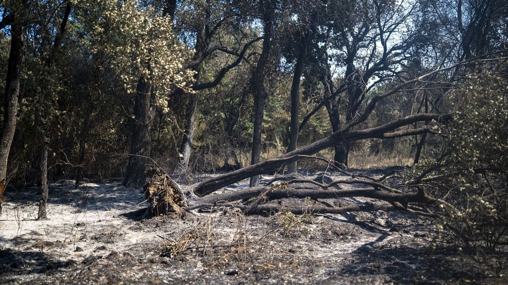 Levantan el confinamiento en los siete municipios afectados por el incendio de La Bisbal d'Empordà, Girona