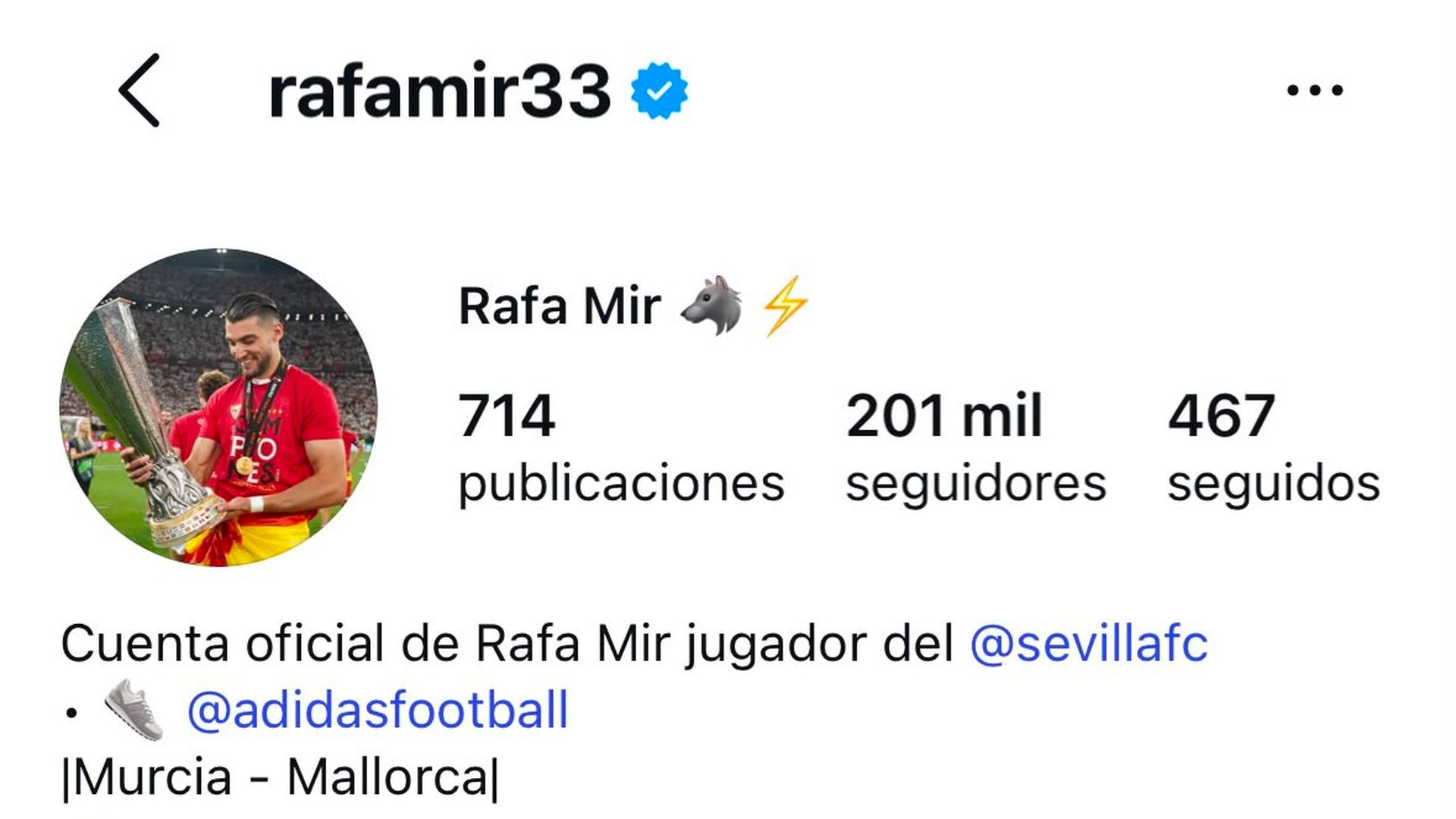 Perfil oficial de Rafa Mir