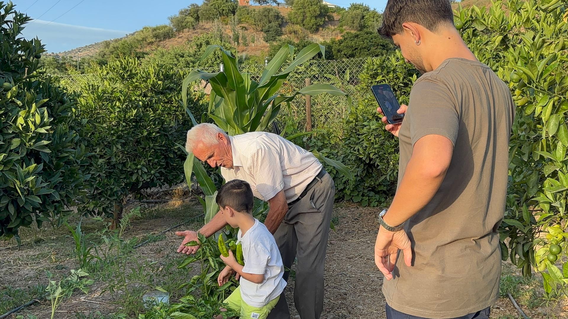 Un 'agroinfluencer' octogenario triunfa en redes con consejos del campo junto a su nieto Un 'agroinfluencer' octogenario triunfa en redes con consejos del campo junto a su nieto