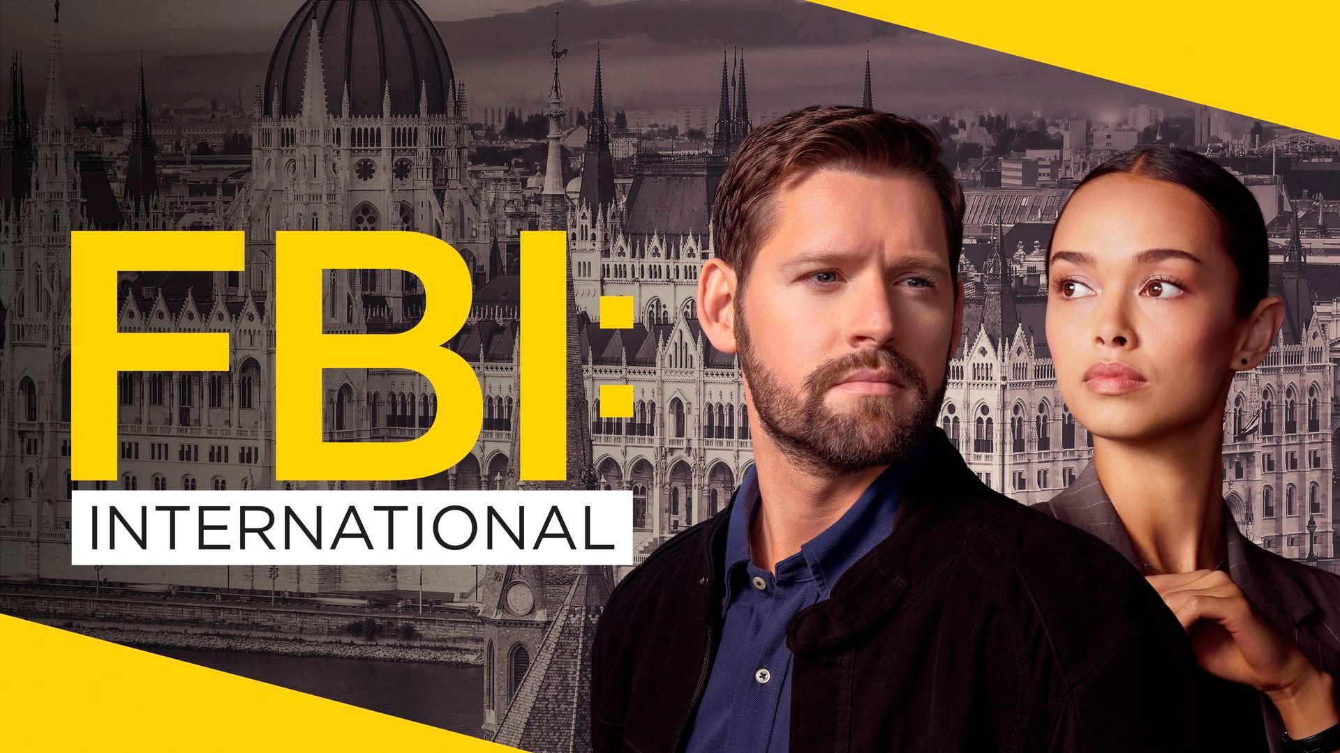 FBI International T3 (1) Poster horiz FBI International T3 (1) Poster horiz