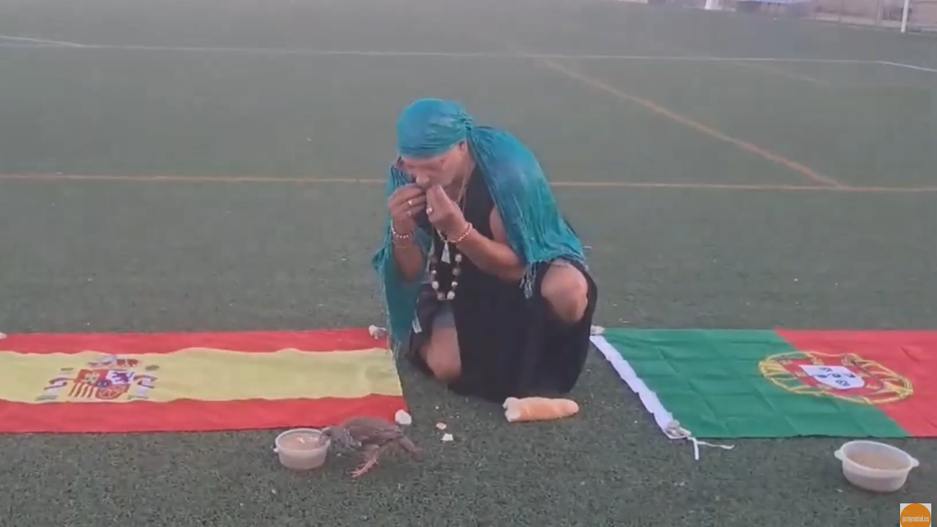 La perdiz Tako II y la pitonisa Irene La perdiz Tako II y la pitonisa Irene