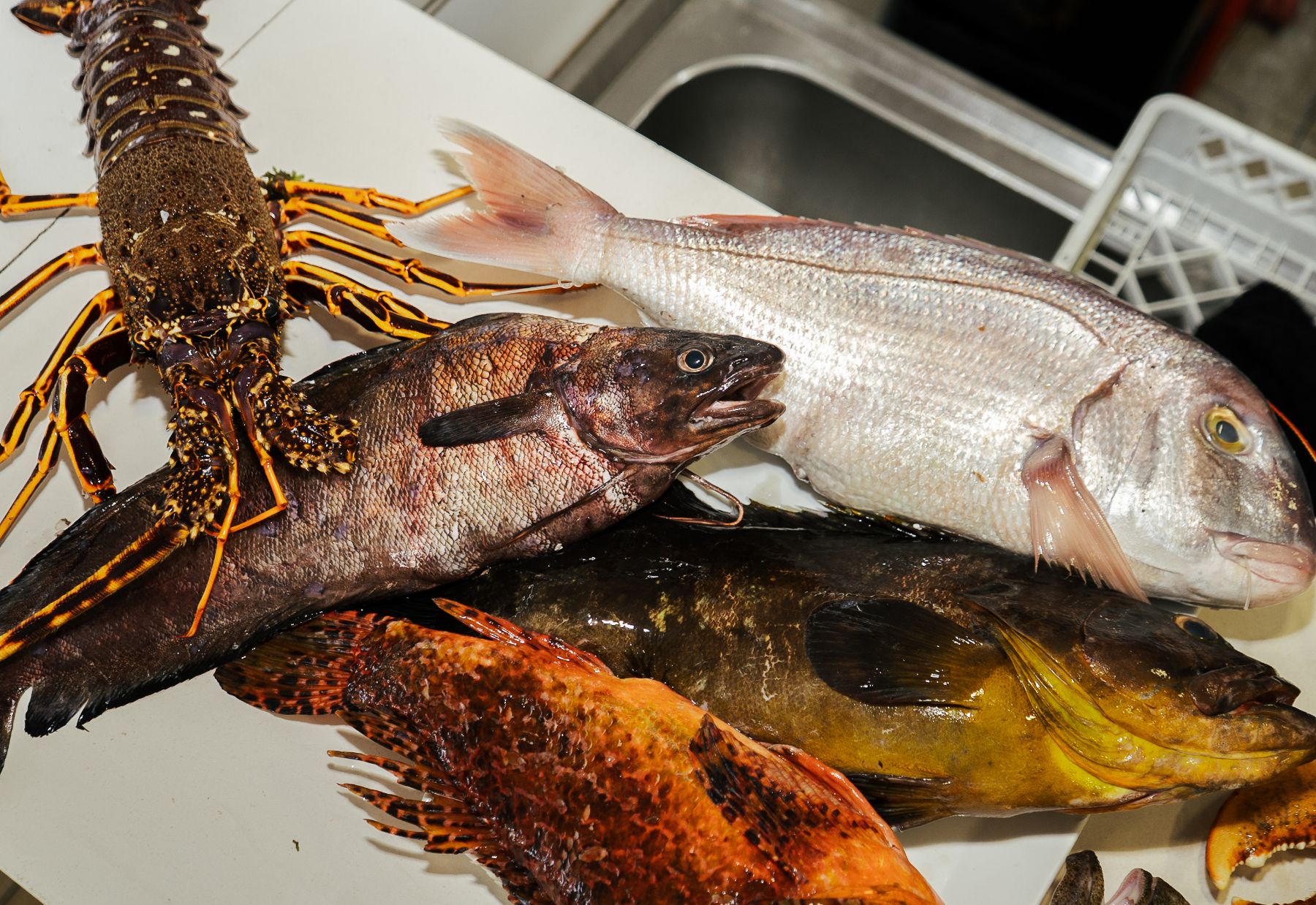 Pescados y mariscos de La Esquina