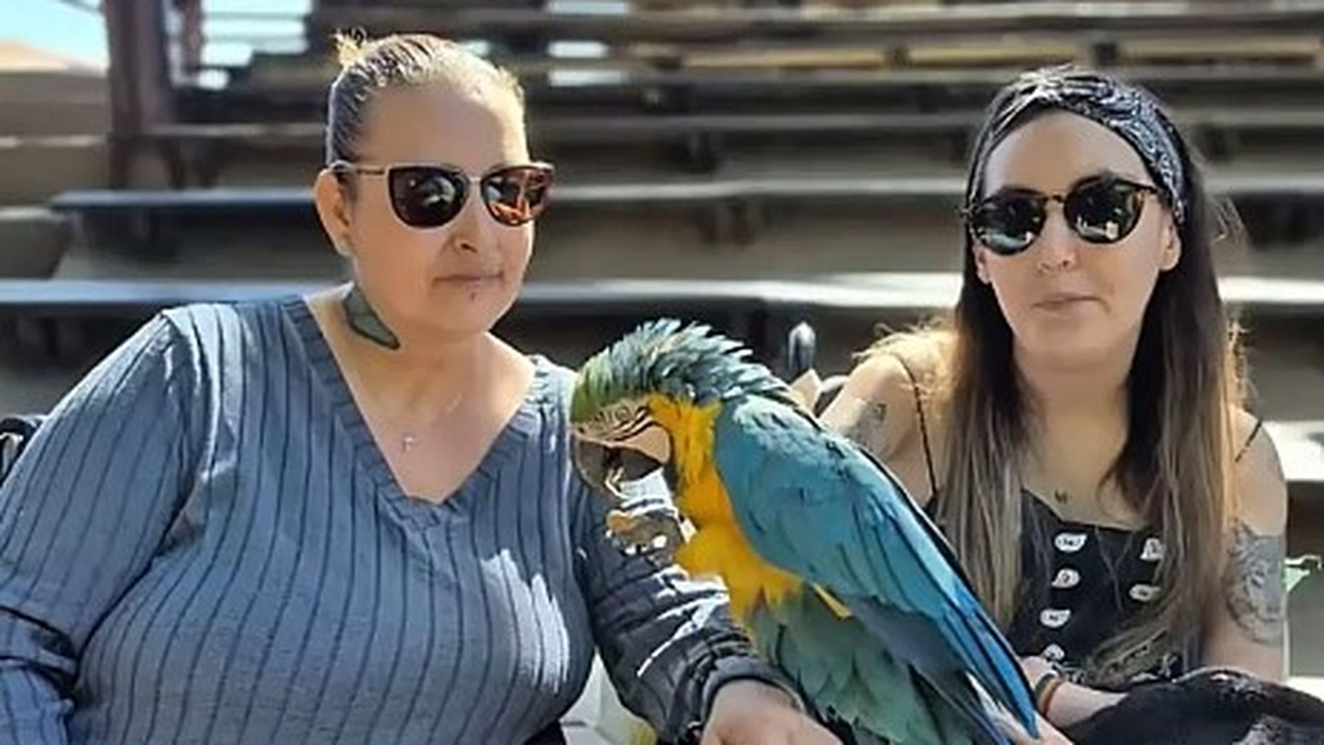 Alida Azabal Martín, una malagueña de 25 años que ha conseguido que se apruebe su eutanasia Alida Azabal Martín, una malagueña de 25 años que ha conseguido que se apruebe su eutanasia