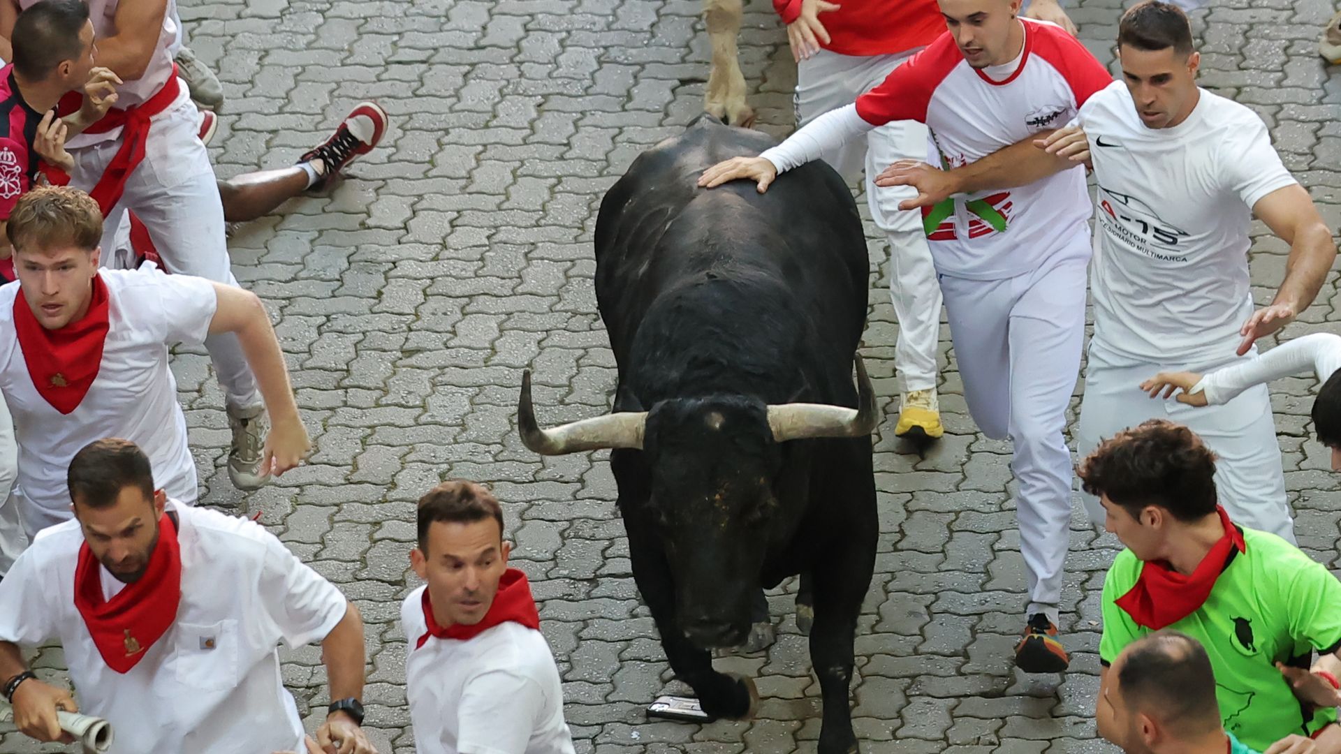 Los toros de Fuente Ymbro, protagonistas del primer encierro de los Sanfermines de 2026