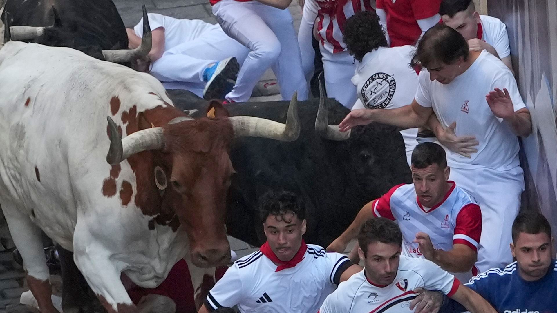 Los toros de Fuente Ymbro, protagonistas del primer encierro de los Sanfermines de 2026