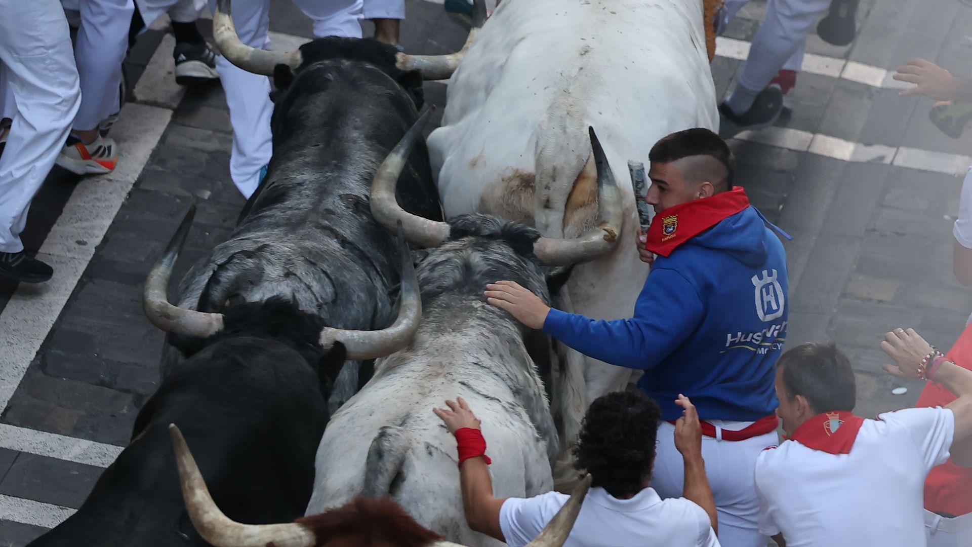 El segundo encierro de los Sanfermines 2026: los toros de Cebada Gago, protagonistas de este 8 de julio en Pamplona