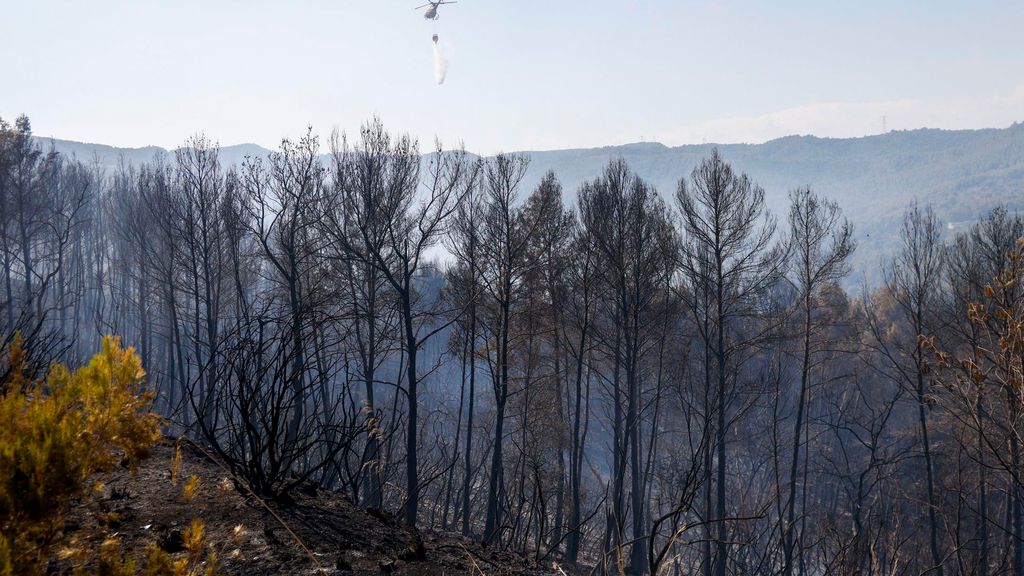 El uso de material pirotécnico, posible causa del incendio de Gavà en Barcelona