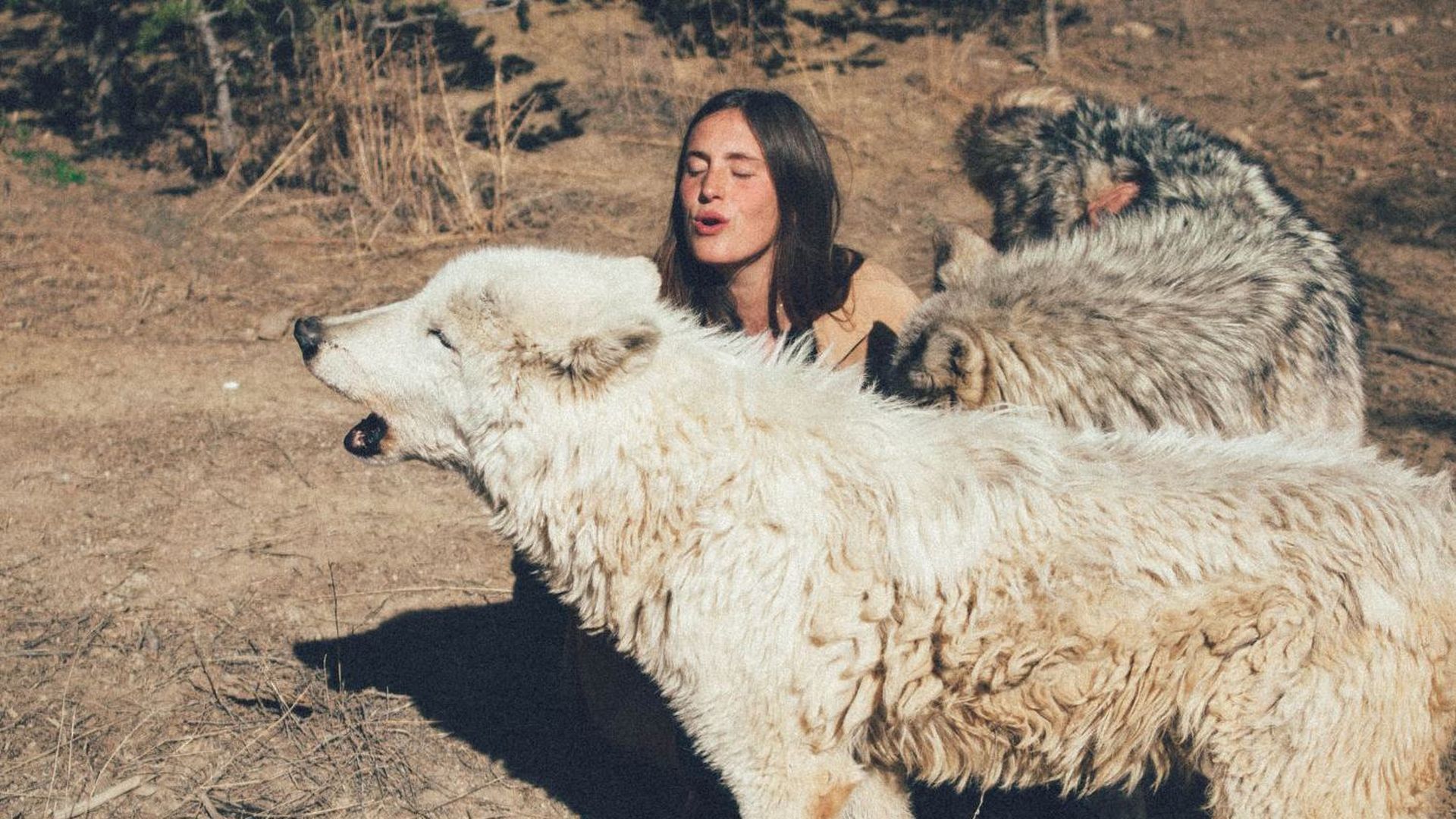 La doctora Pasquín juega con dos lobos La doctora Pasquín juega con dos lobos