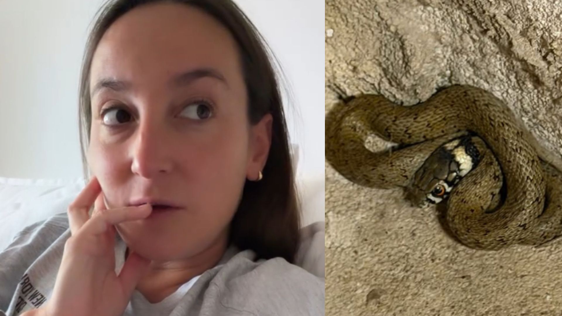 Lucía Pombo y una culebra Lucía Pombo y una culebra