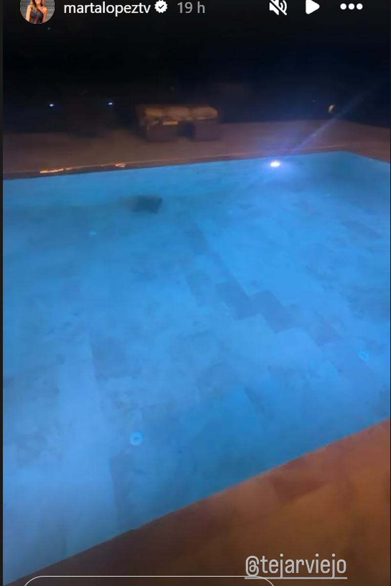 Marta López enseña su piscina