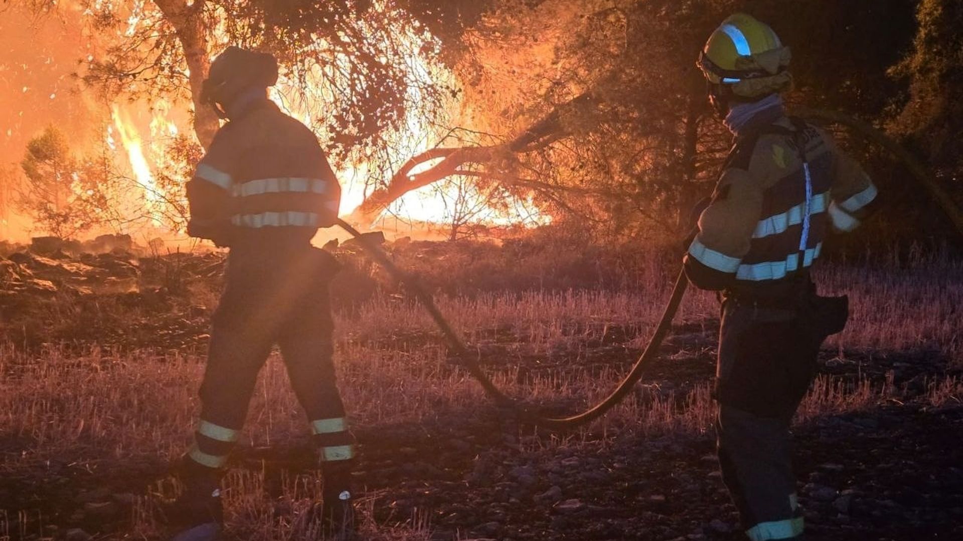Trabajos de extinción en Zaragoza Trabajos de extinción en Zaragoza