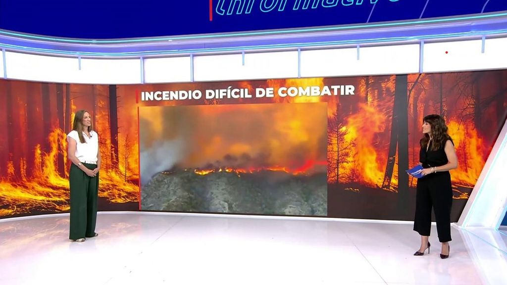Arantza Pérez, vicedecana del Colegio Oficial de Ingenieros de Montes: "Con planes de autoprotección para cada municipio e inversión prevendríamos más"