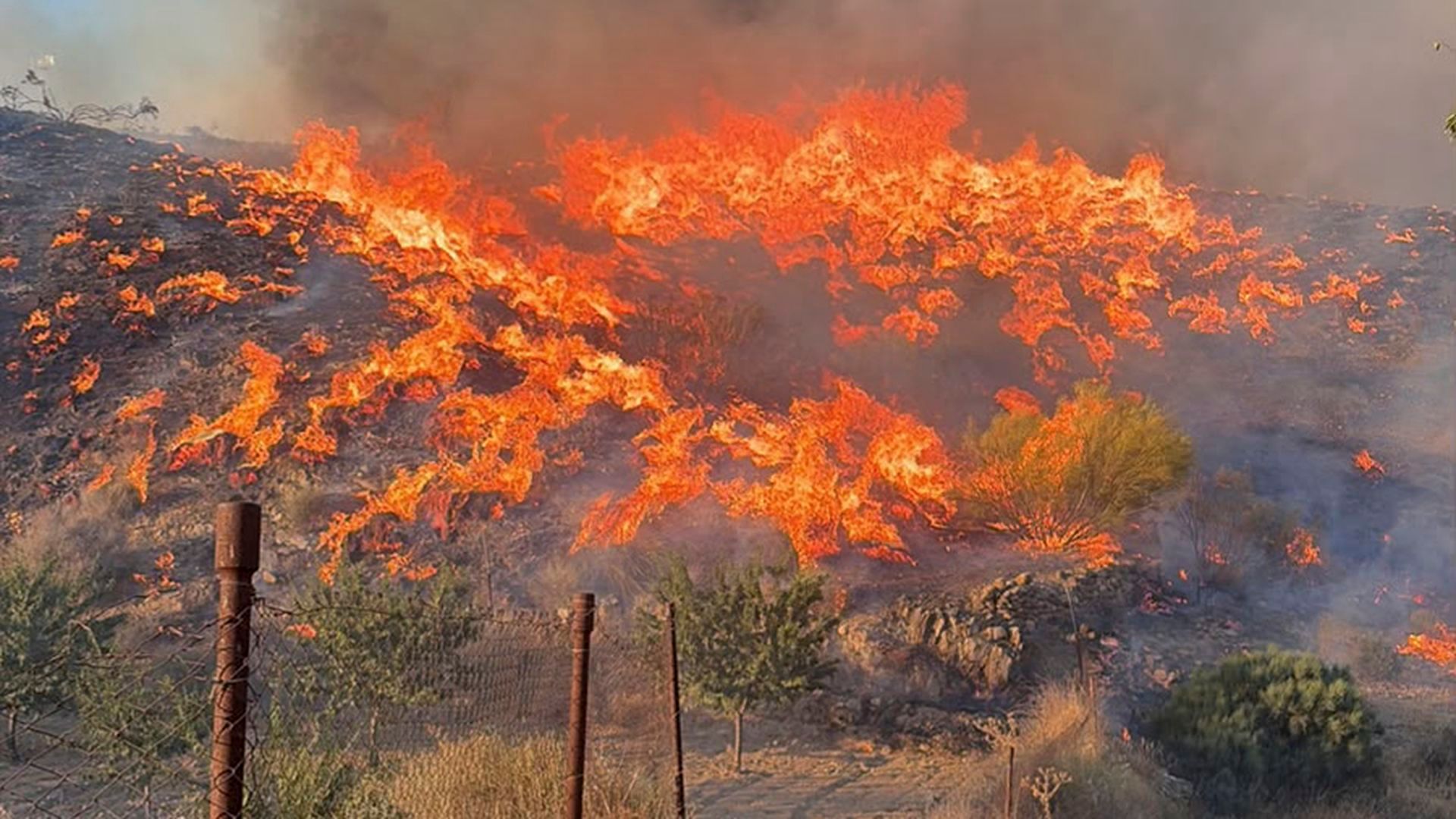 Así ha sido el incendio de Los Gallardos, en Almería