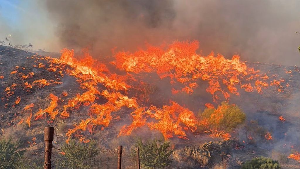 El origen del grave incendio de Los Gallardos que deja 11 muertos: la caída de un cable del tendido eléctrico cerca de la N-340A