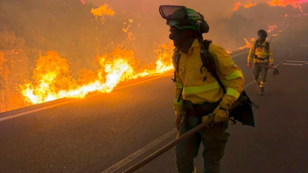 Doce muertos por el incendio forestal de Los Gallardos, Almería: "Es una tragedia sin precedentes"