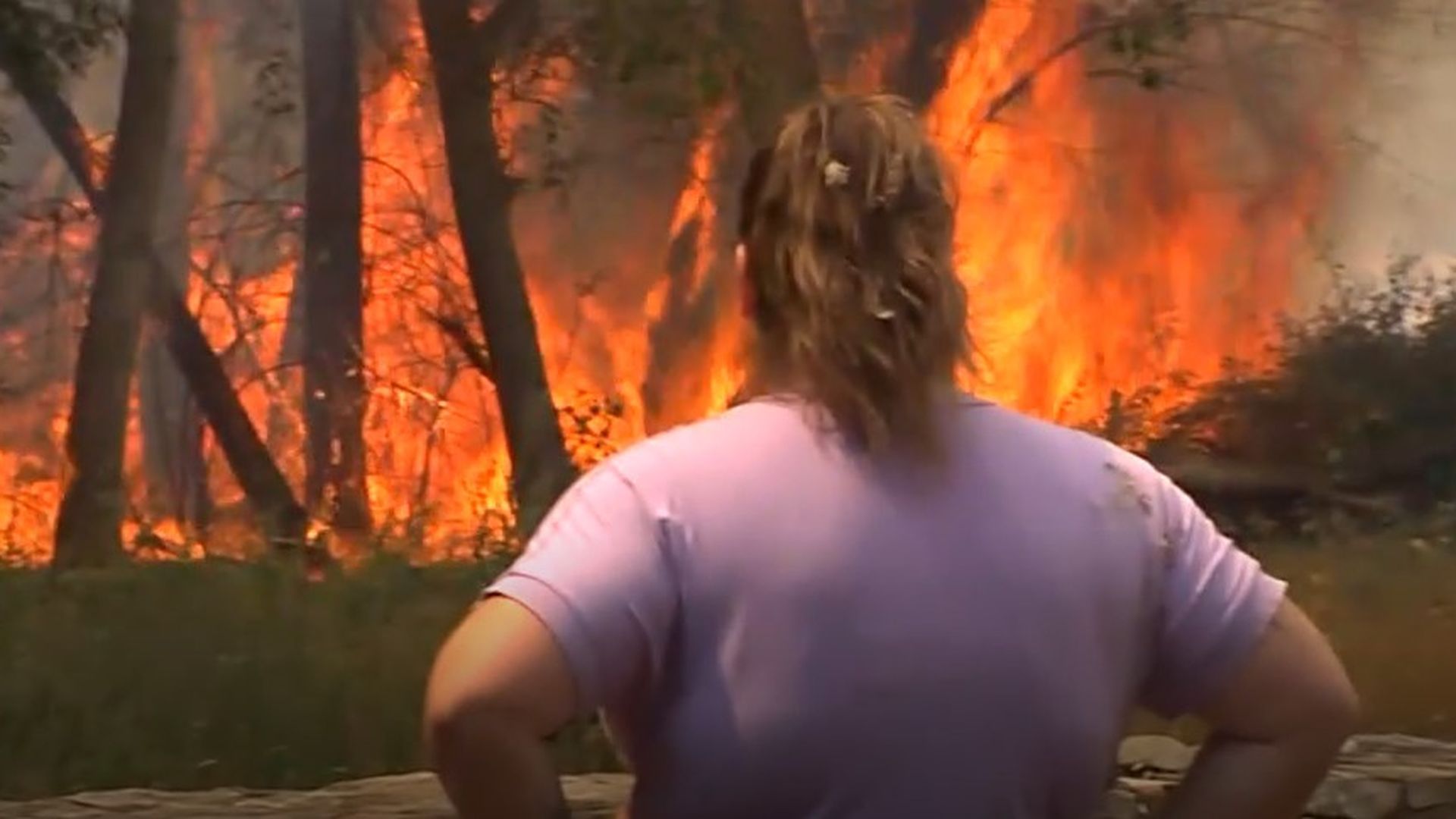 El incendio de los Gallardos, uno de los peores que ha sufrido España