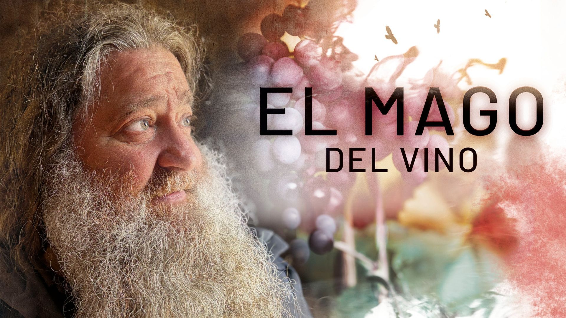 El mago del vino El mago del vino