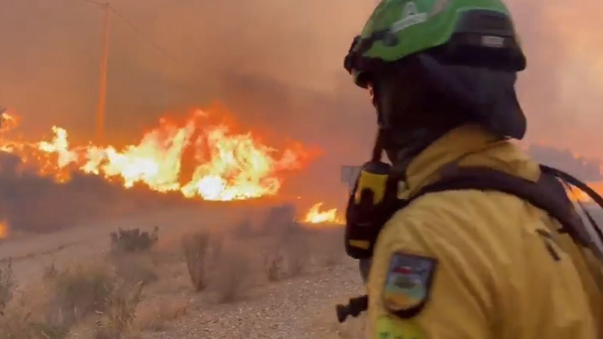 Emergencias habilita un teléfono de atención psicológica para familiares afectados por el incendio de Los Gallardos, Almería Emergencias habilita un teléfono de atención psicológica para familiares afectados por el incendio de Los Gallardos, Almería