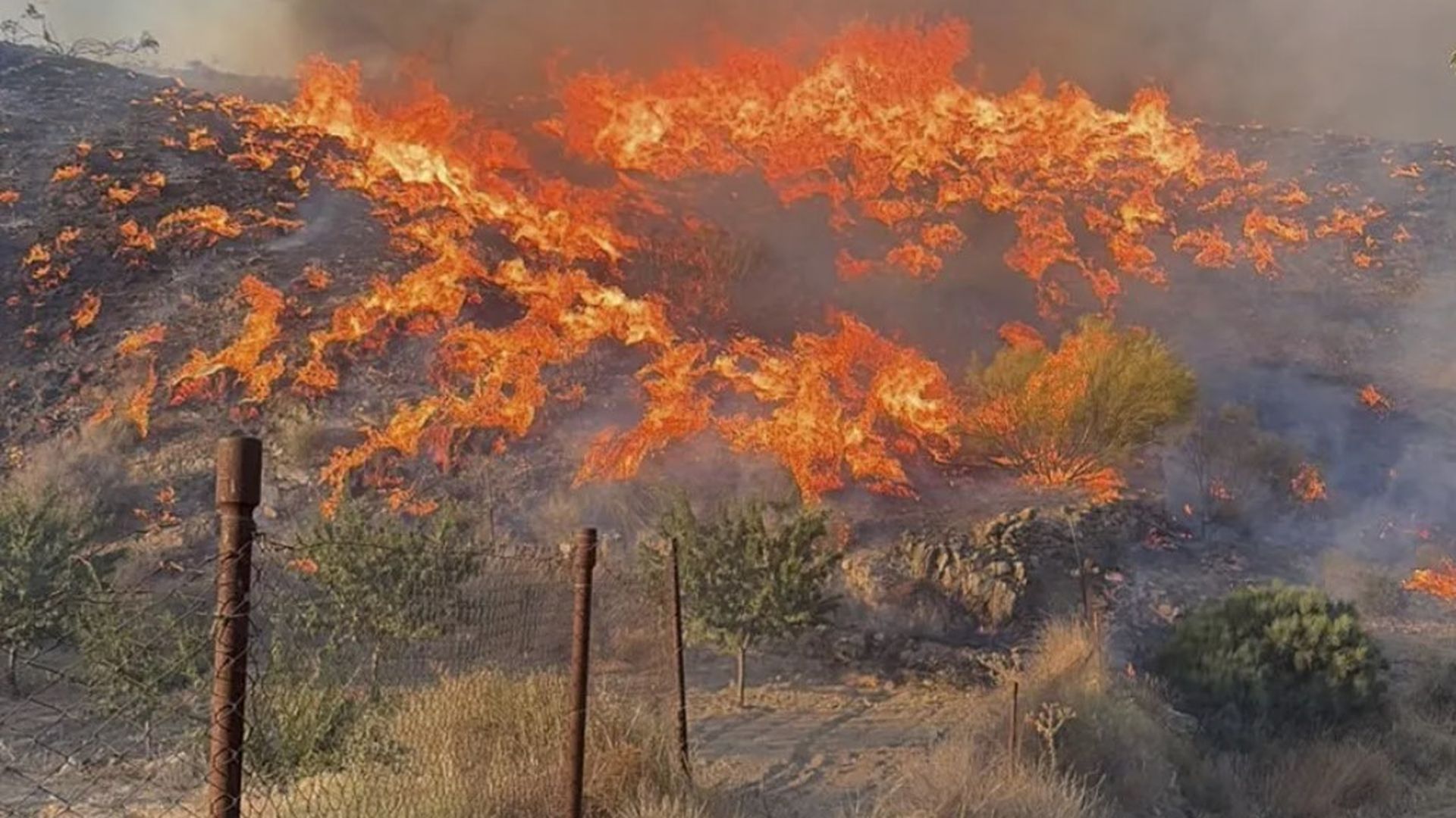 Incendio en el municipio almeriense de Los Gallardos. Almería