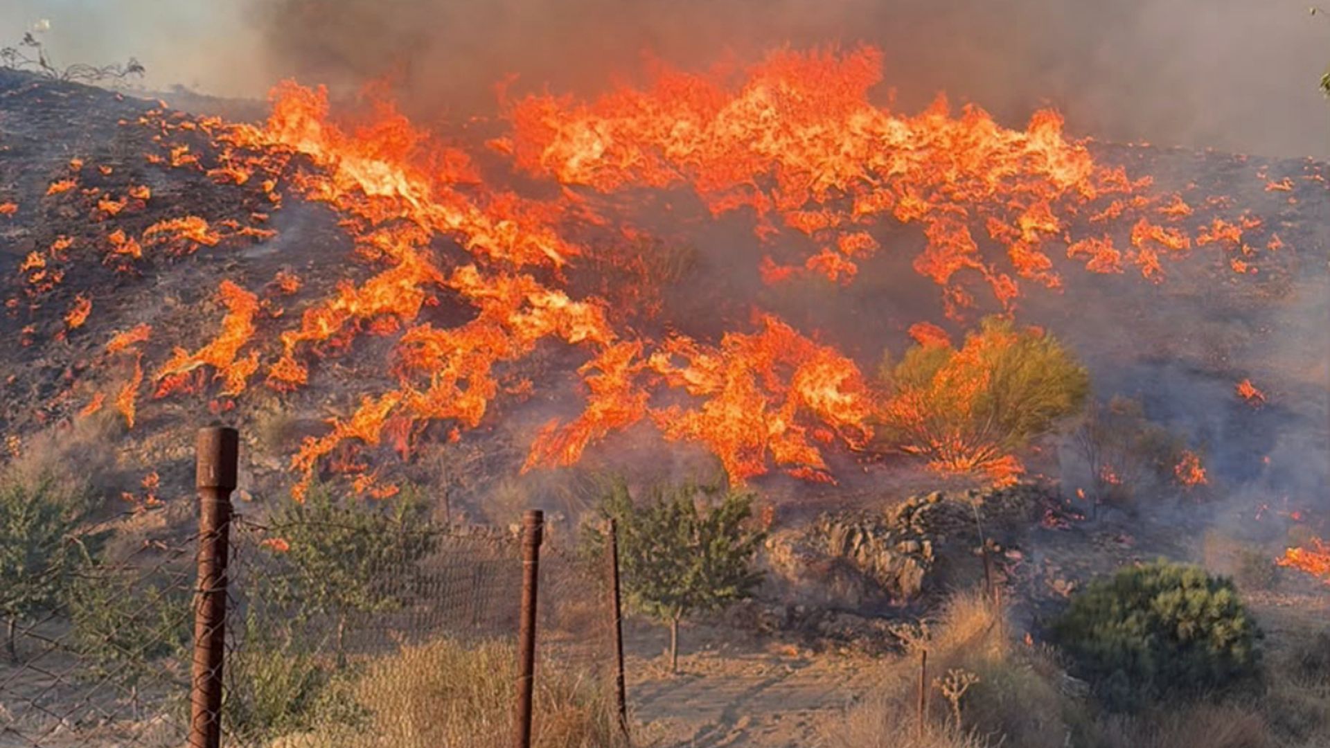 Incendio en el municipio almeriense de Los Gallardos, en concreto en una pedanía del municipio vecino de Bédar