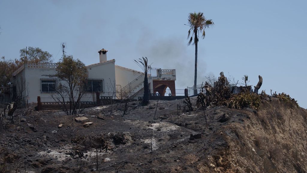 El origen del grave incendio de Los Gallardos que deja 11 muertos: la caída de un cable del tendido eléctrico cerca de la N-340A