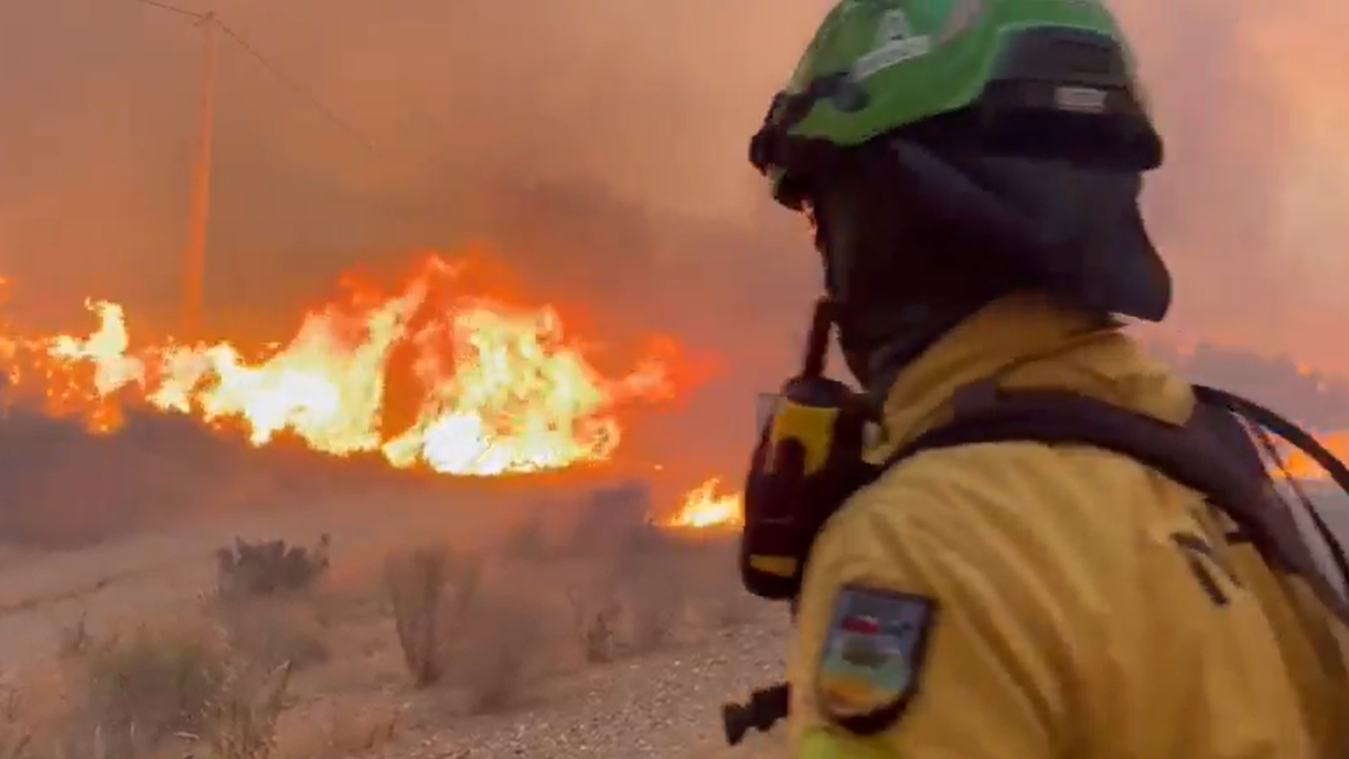 La lucha de los bomberos “defendiendo las primeras casas” en el incendio de Los Gallardos, Almería: “¡Hay focos secundarios por todos sitios!” La lucha de los bomberos “defendiendo las primeras casas” en el incendio de Los Gallardos, Almería: “¡Hay focos secundarios por todos sitios!”
