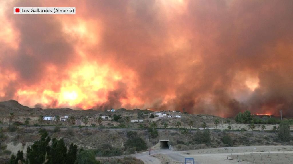 Noche de muerte, llanto y fuego en los Gallardos, Almería: "Fue una lengua de fuego, un muro de 30 km que bloqueaba la escapada"