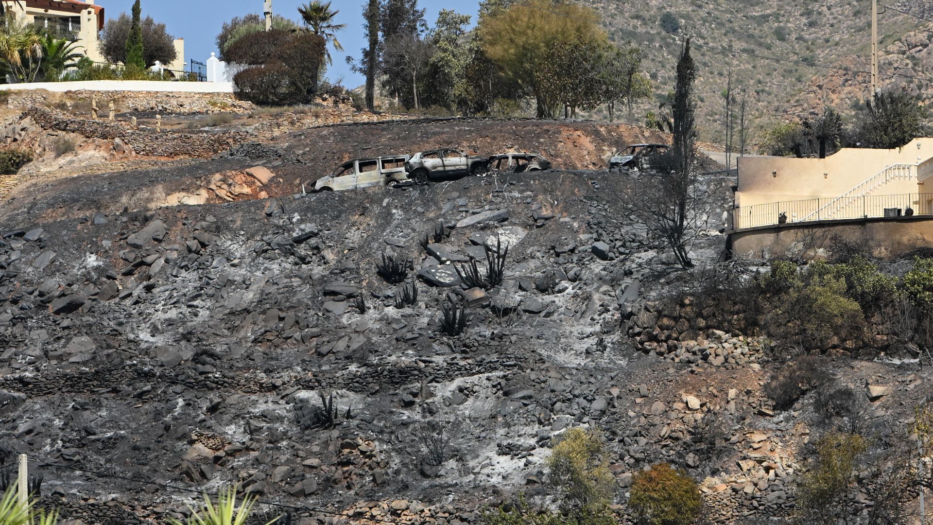 Los bomberos forestales advierten que el mayor peligro de los incendios son los fallos de organización: "El protocolo debe ser sagrado"