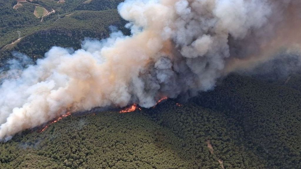 Ordenan el confinamiento de cinco municipios por un incendio forestal en Aiguamúrcia, Tarragona