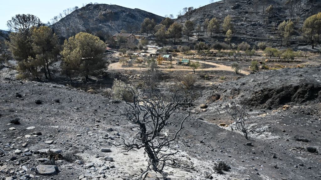 Los trabajos para extinguir el incendio de Los Gallardos continúan: el fuego deja 6.600 hectáreas arrasadas y 12 muertos