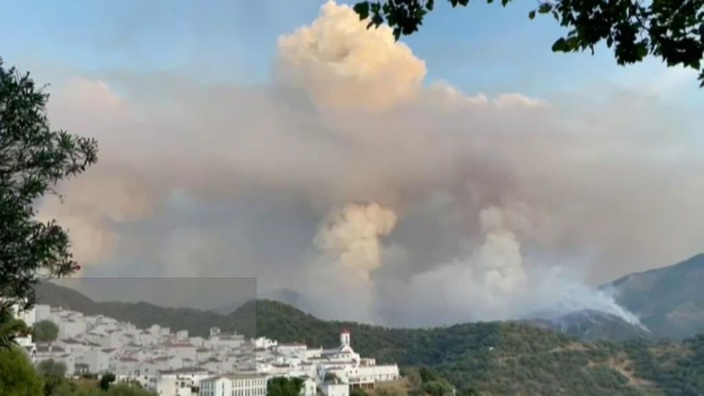La gestión forestal debe prevenir incendios y adaptarse al cambio climático