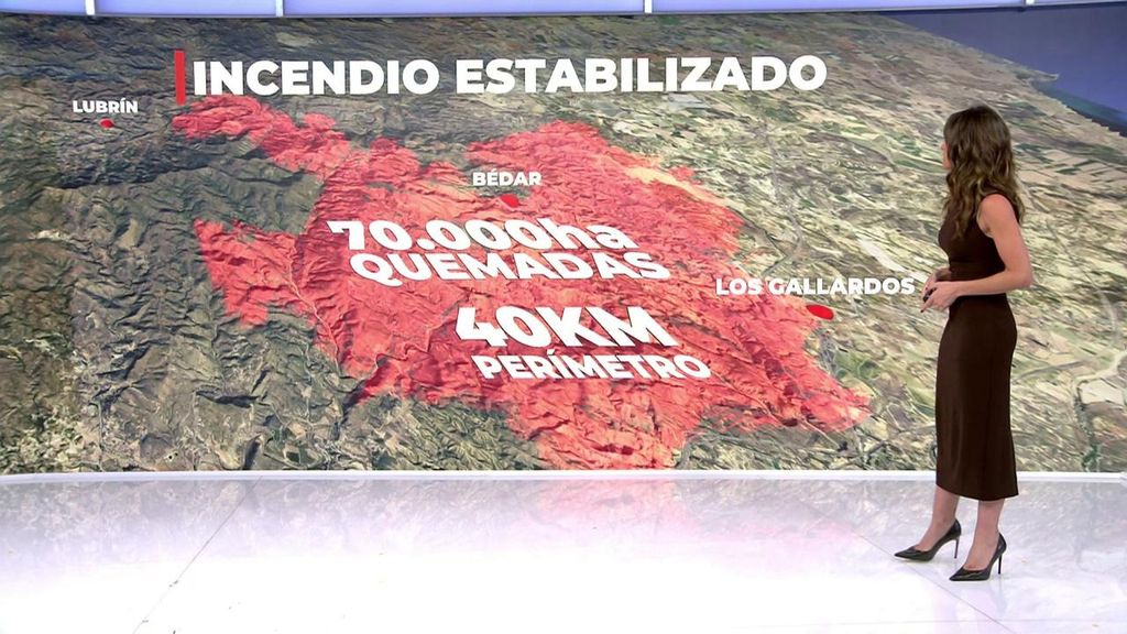 La superficie afectada por el incendio de Los Gallardos es el equivalente a 9.800 campos de fútbol