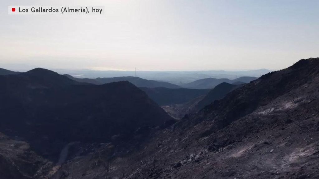 El incendio de Los Gallardos a vista de dron: un paisaje lunar desolador
