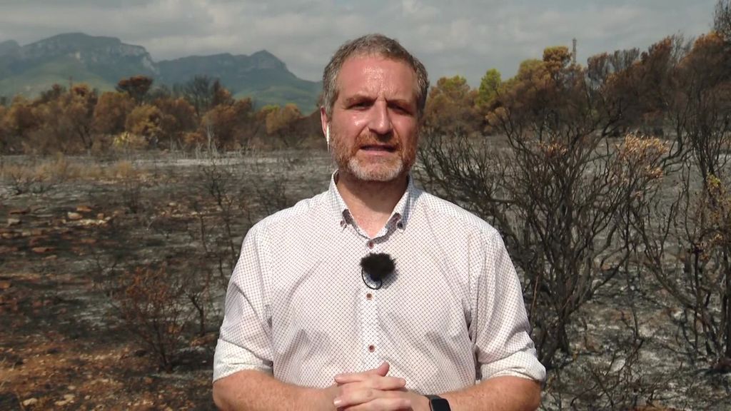 Víctor Resco, ingeniero forestal, sobre cómo atajar los megaincendios: "Hay que hacer quemas prescritas para acabar con el combustible"