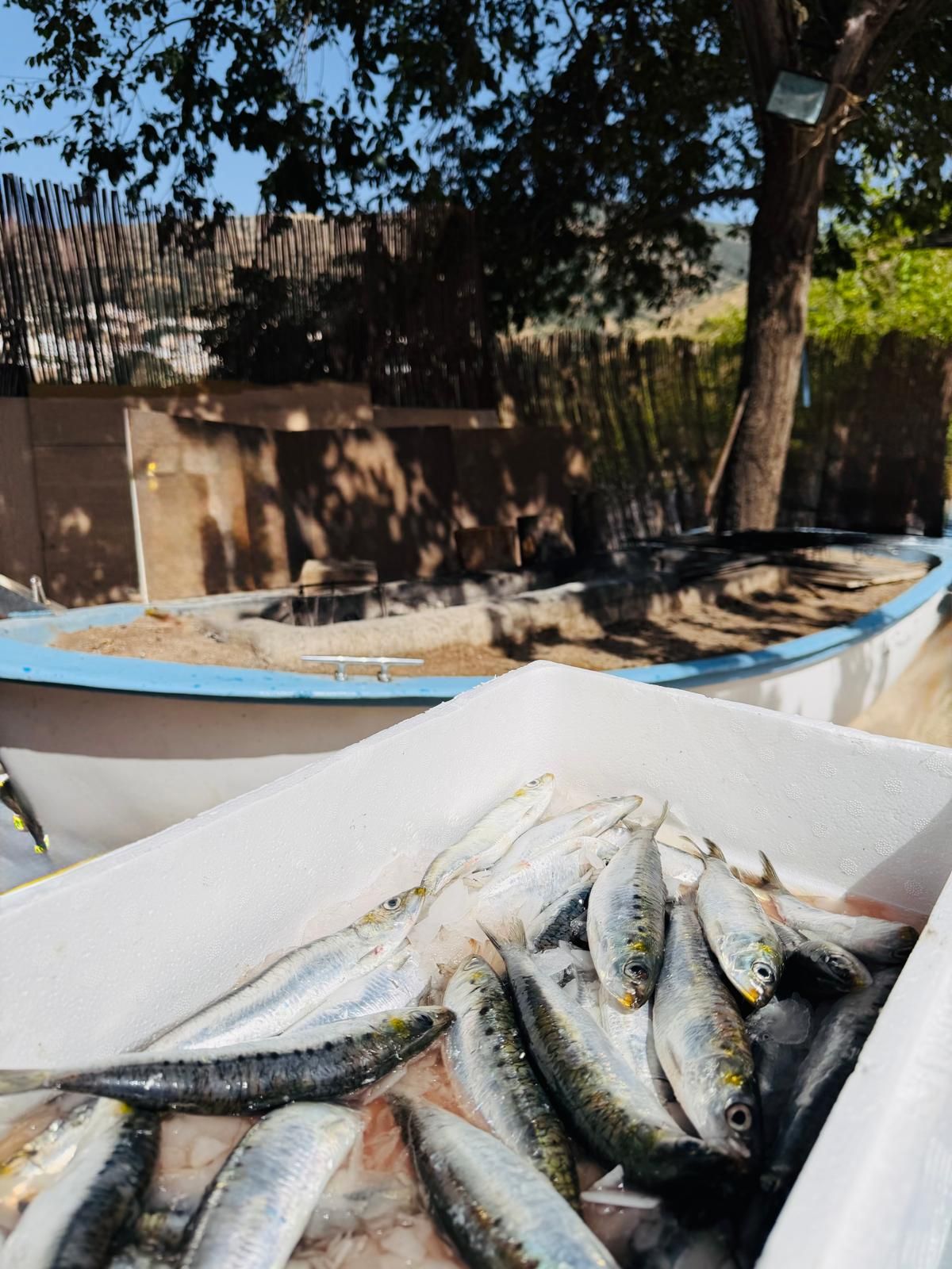 El espetero de la montaña: sardinas a 1.200 metros sobre el mar en la Alpujarra de Granada