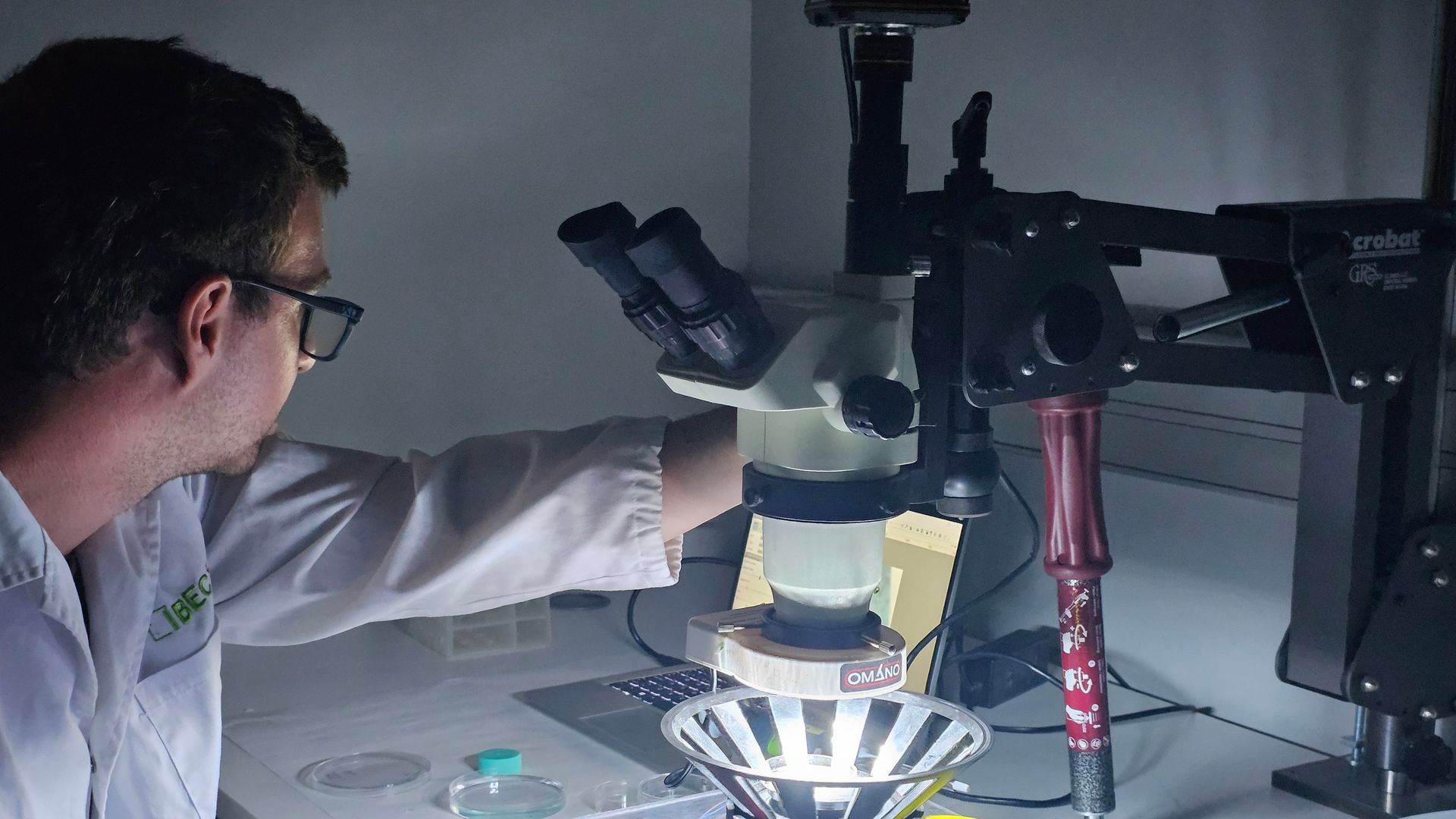 Los compuestos, denominados prosthe6, imitan la función de las células fotorreceptoras